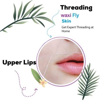Upper Lips